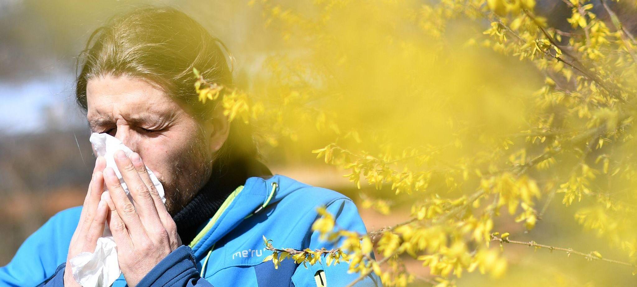 Eine Person mit Pollenallergie schnäuzt sich