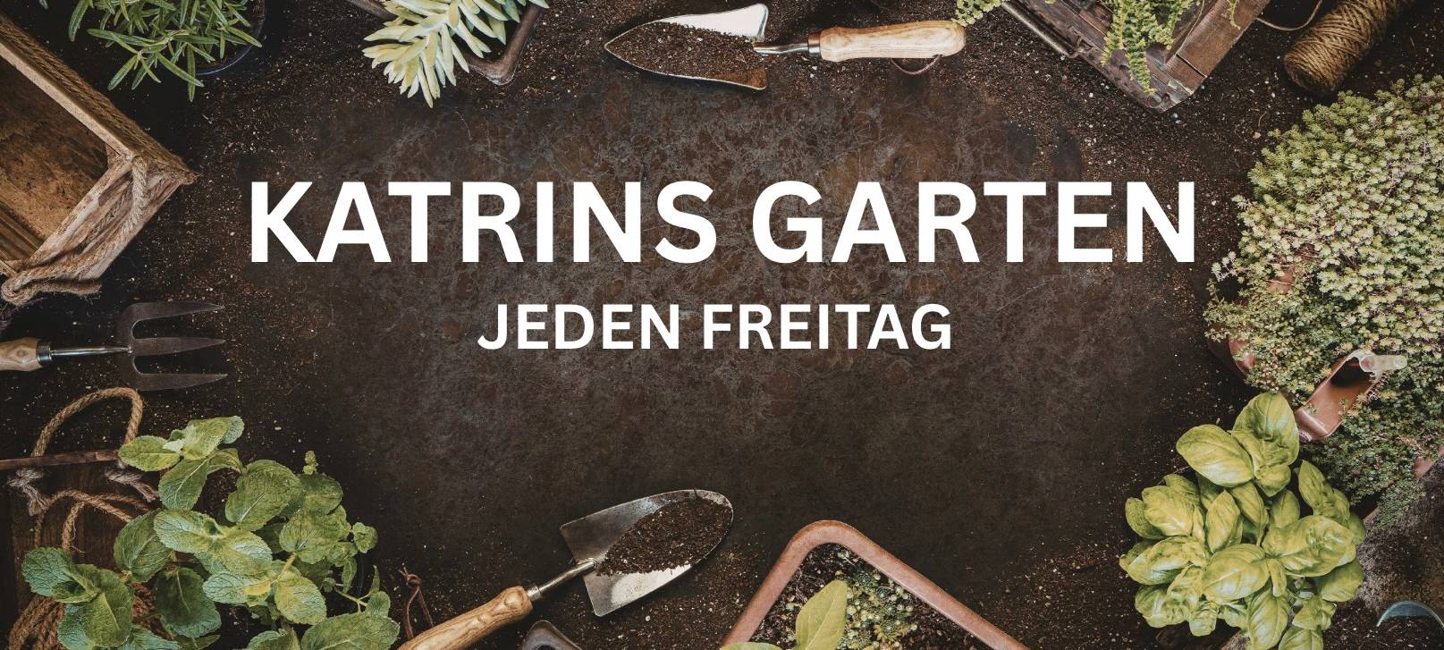 Düngen – Katrins Garten #1