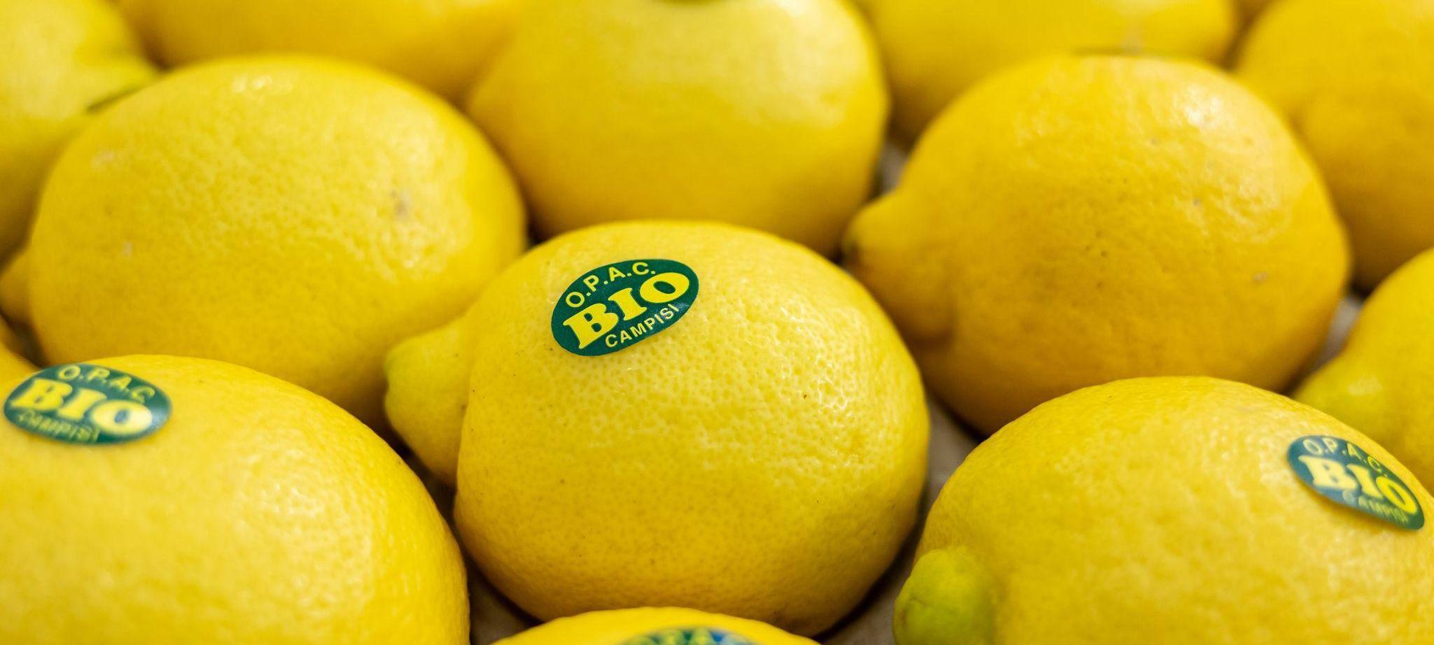 Zitronen auf der Biofach 2025