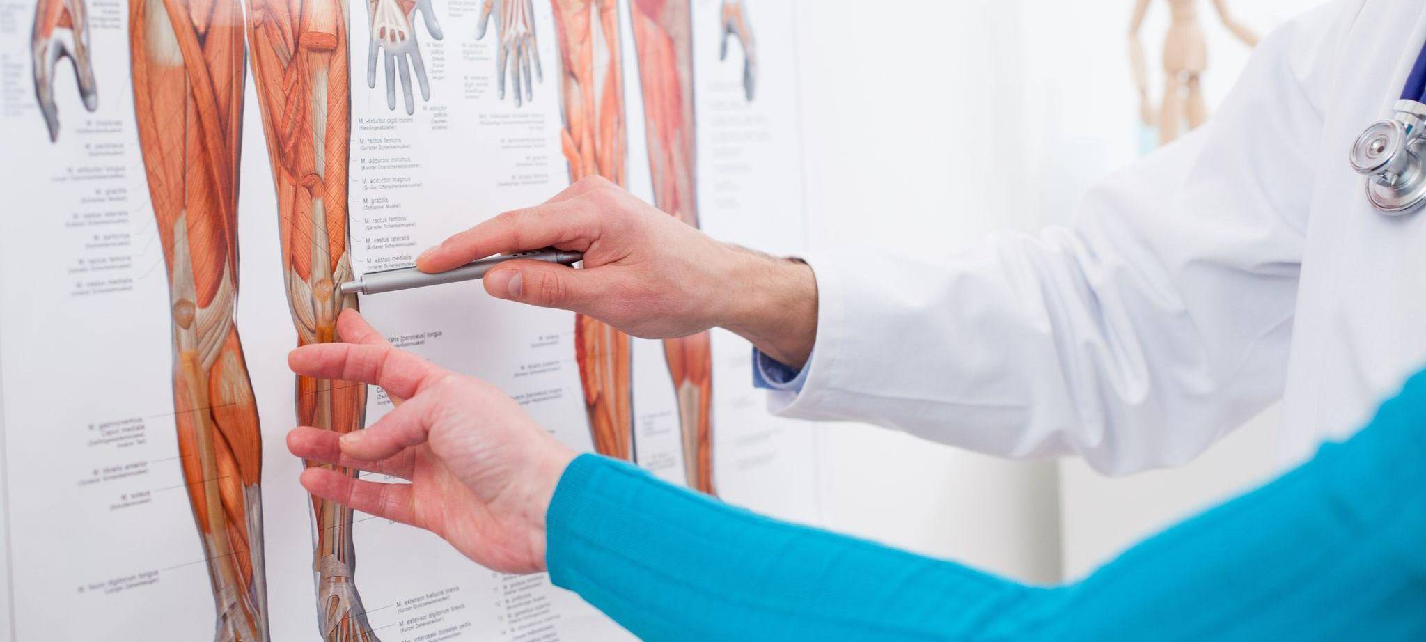 Ein Arzt zeigt auf ein Knie auf einem Bild