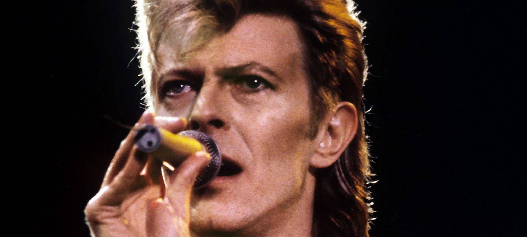 David Bowie